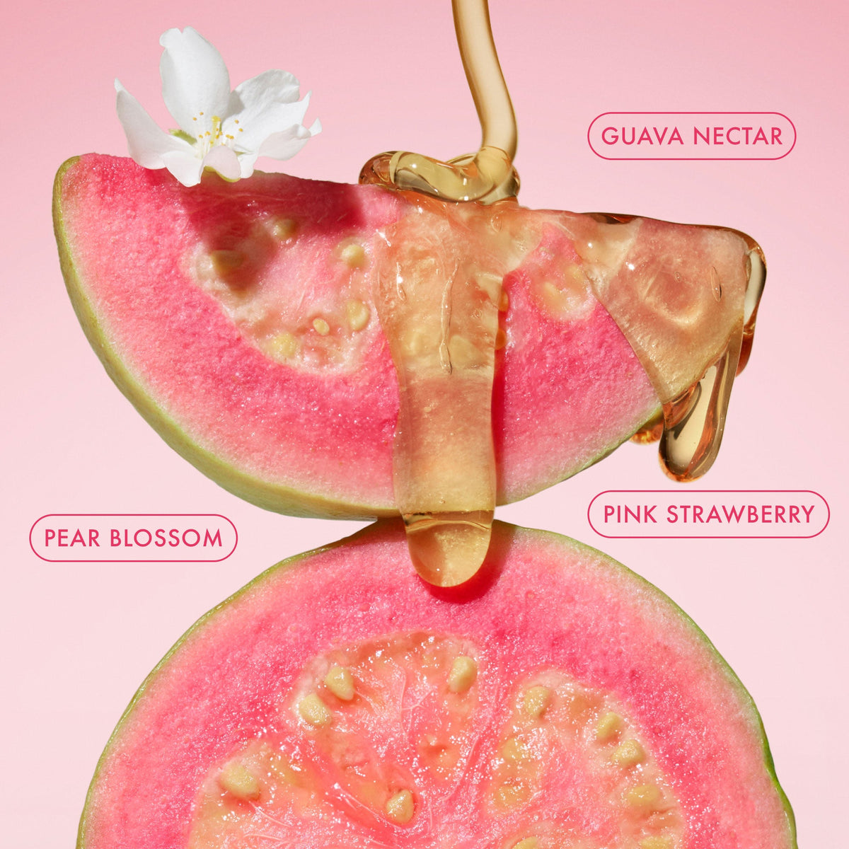 mini-body-butter-trio-c4 BodyButterBalmPinkGuava_3.jpg