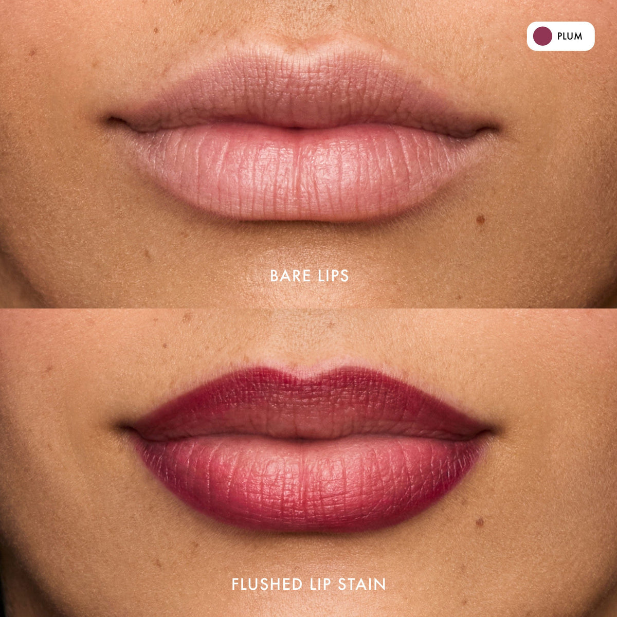 flushed-lip-stain-plum-s3 FlushedLipStain_Plum_B_A.jpg