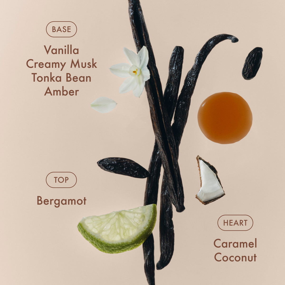 sunlit-vanillatm-eau-de-parfum-l2 SunlitVanilla_4.jpg